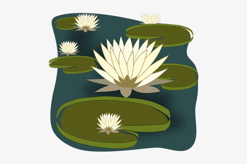 Free To Use  Public Domain Water Lily Clip Art - Clipart Of Water 