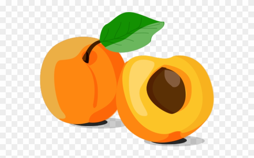 Apricot Clipart Orange Fruit - Png Download 