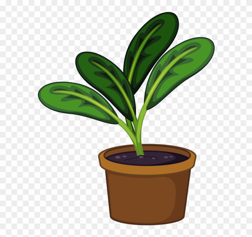 potted plants clipart free - Clip Art Library