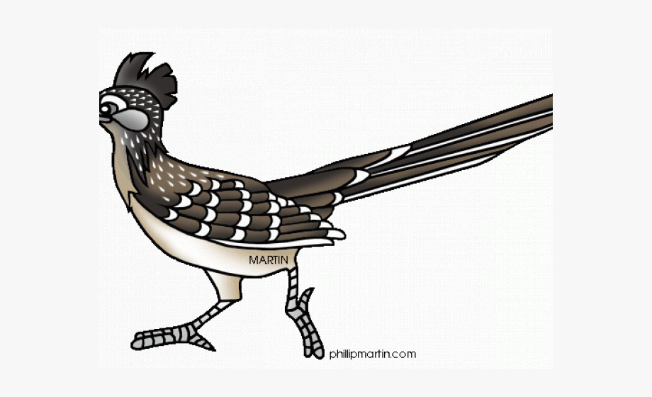Roadrunner Clipart Clip Art - Roadrunner Clipart Black And White 