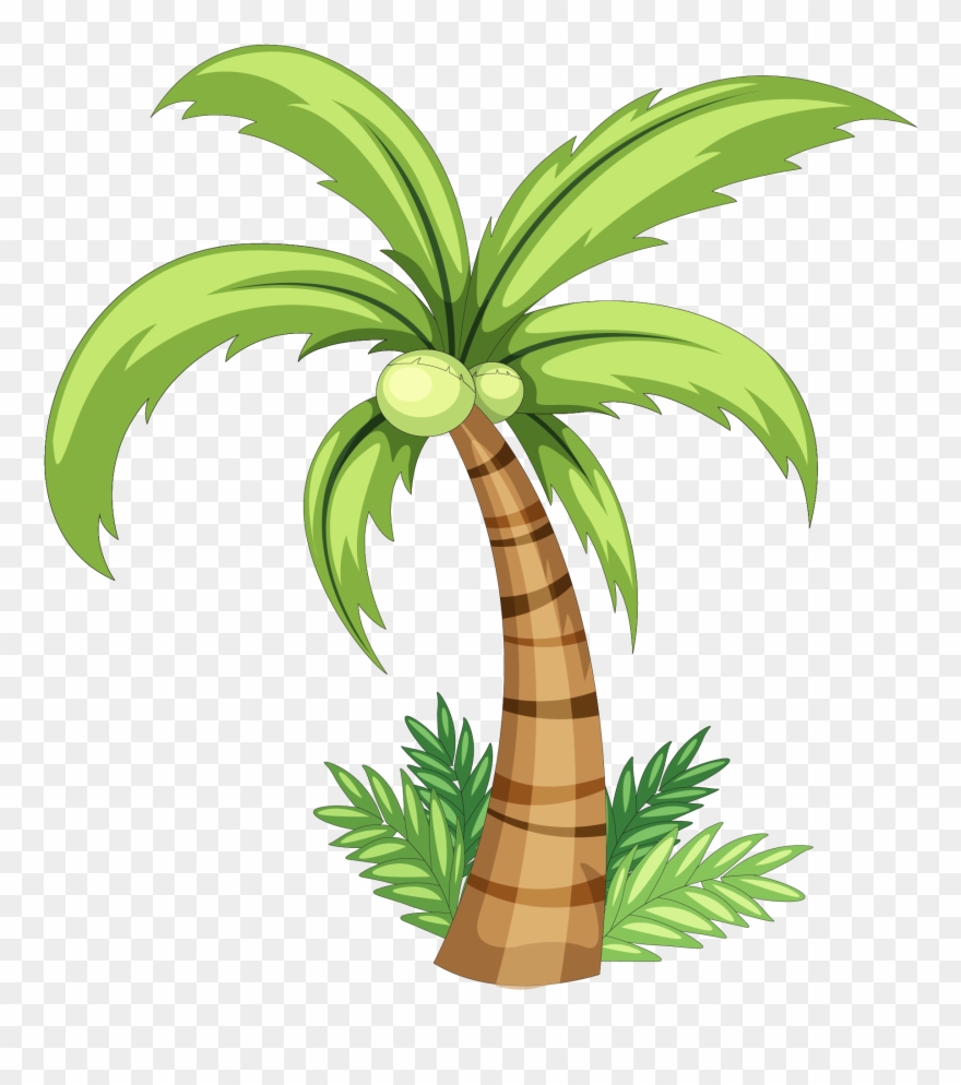 coconut tree images clipart