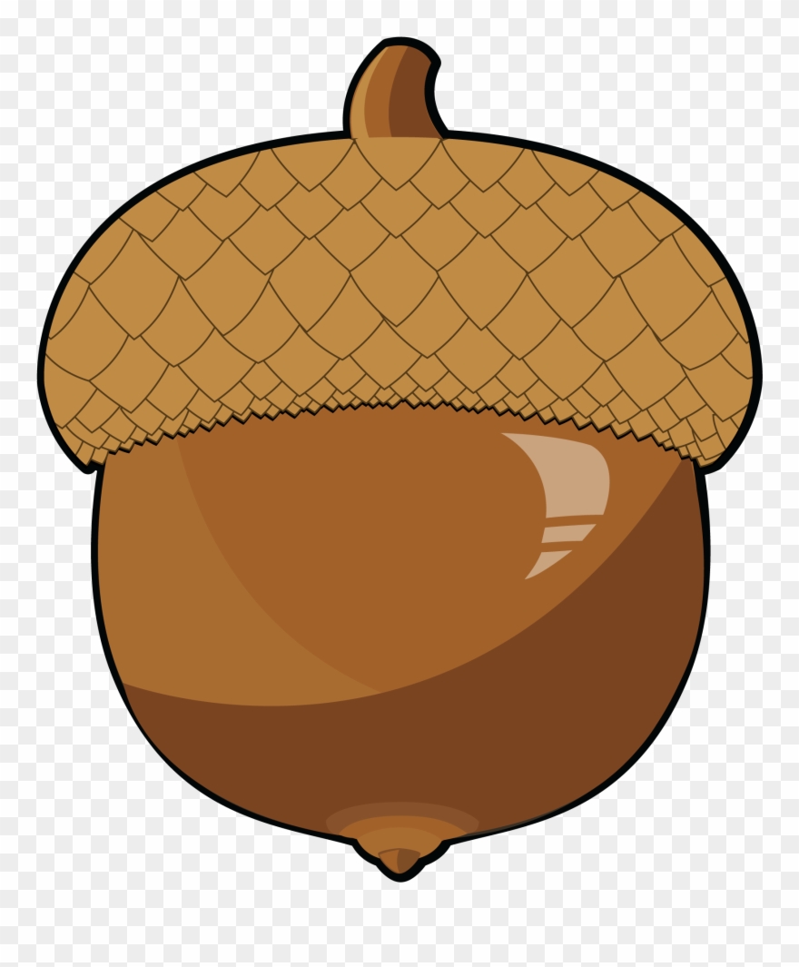 Free Acorn Clip Art Download Free Acorn Clip Art Png Images Free 