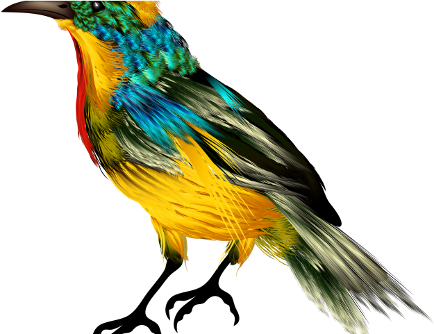 Finch Clipart Maya Bird - Png Download - Full Size Clipart 