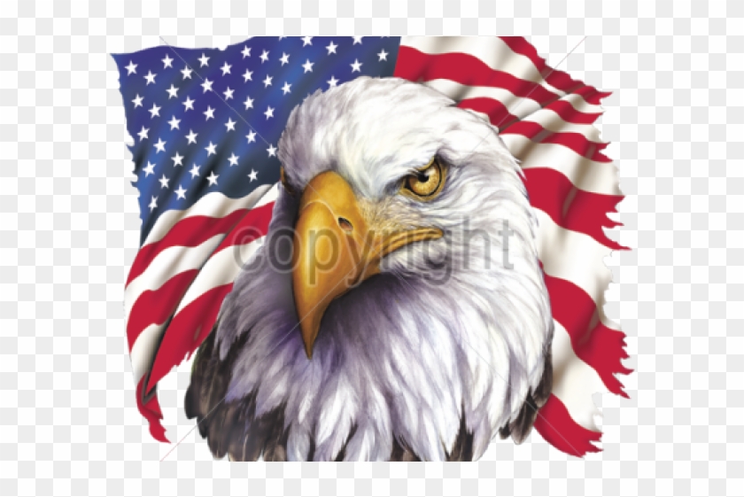 Bald Eagle Clipart Patriotic - American Eagle Images Transparent 