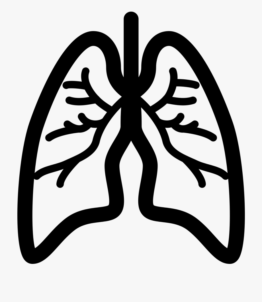 Lungs Clipart Asthma Lung - Respiration Clipart , Transparent 
