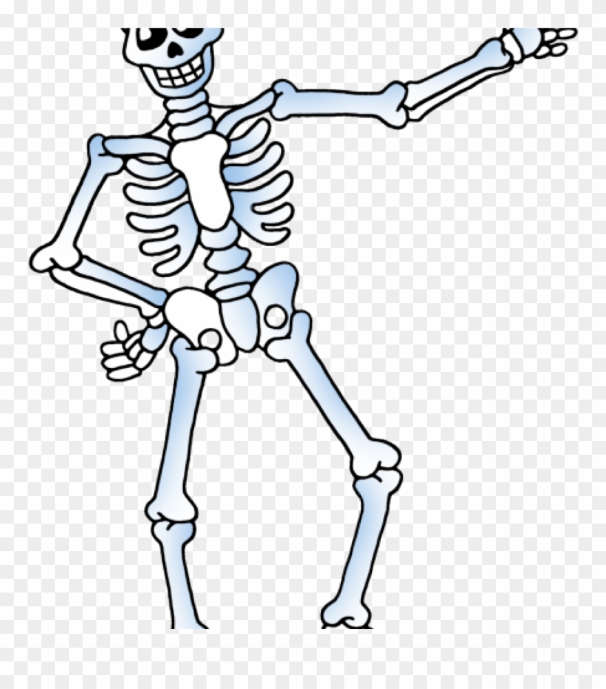 Skelton Clipart Free Skeleton Clipart Public Domain - Cute.