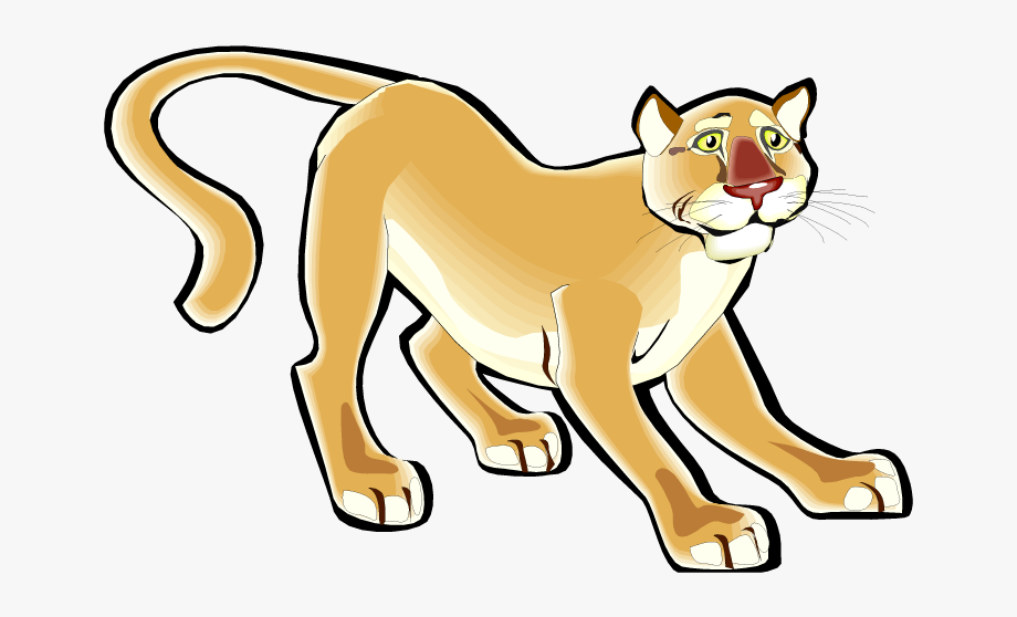 cougar pictures clipart