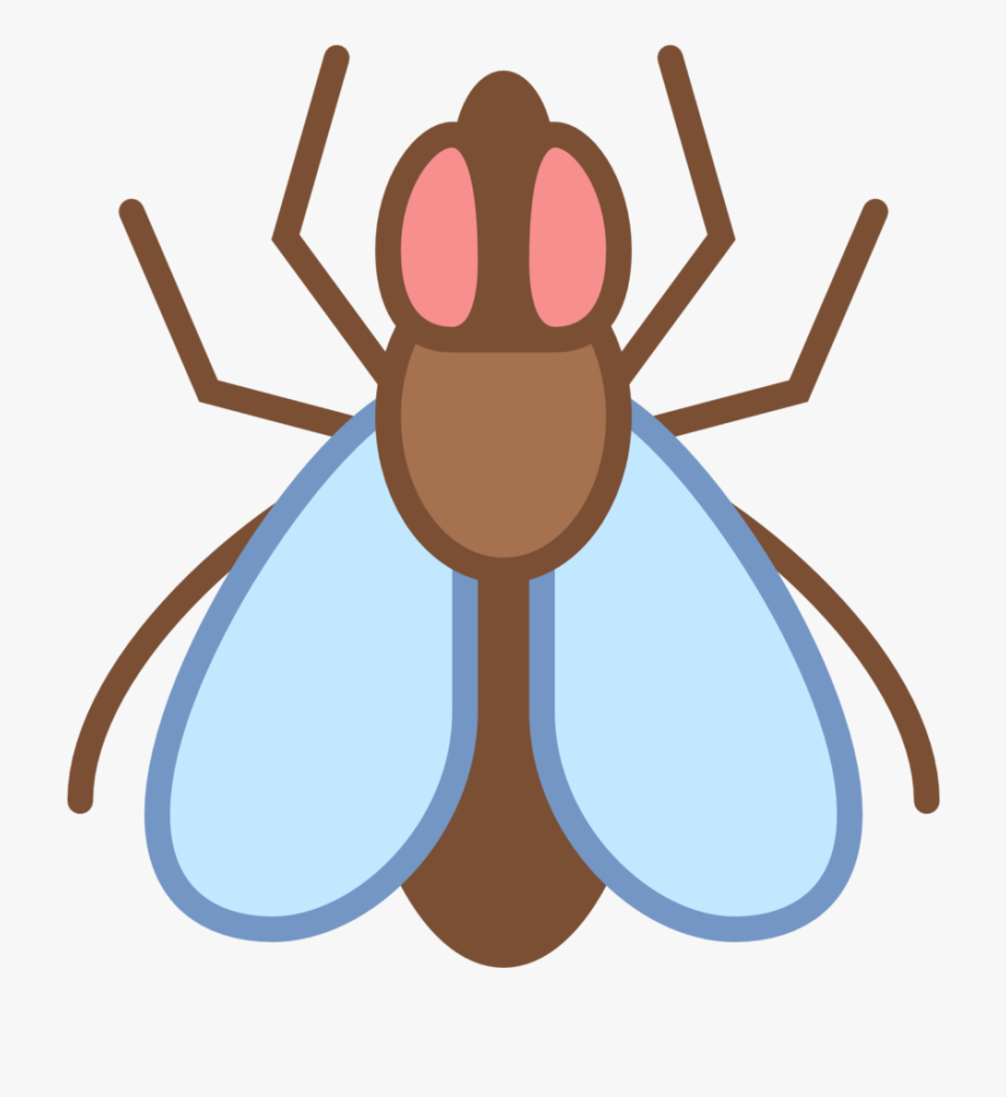 Flies Clipart Harmful Insect - Clipart Flies Png , Transparent 