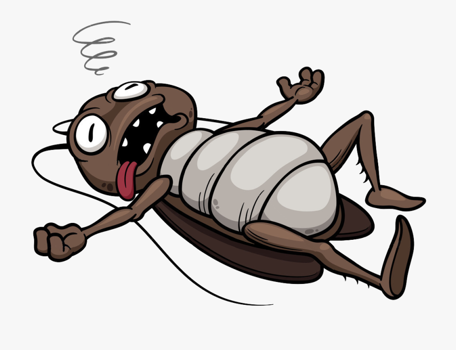 Featured image of post Dead Termite Cartoon termite is optimistic as well as hasty and reckless to the point of losing a horn because of it