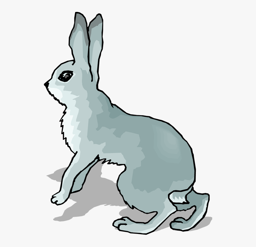 Free Snowshoe Hare Cliparts, Download Free Clip Art, Free Clip Art on