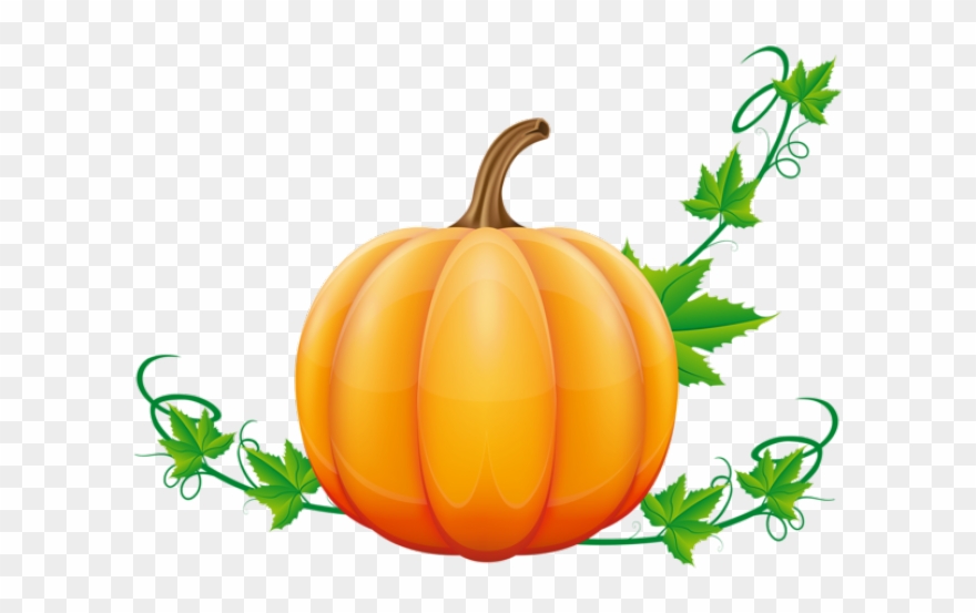 Pumpkin Clipart Vine - Fall Pumpkin Clip Art - Png Download 
