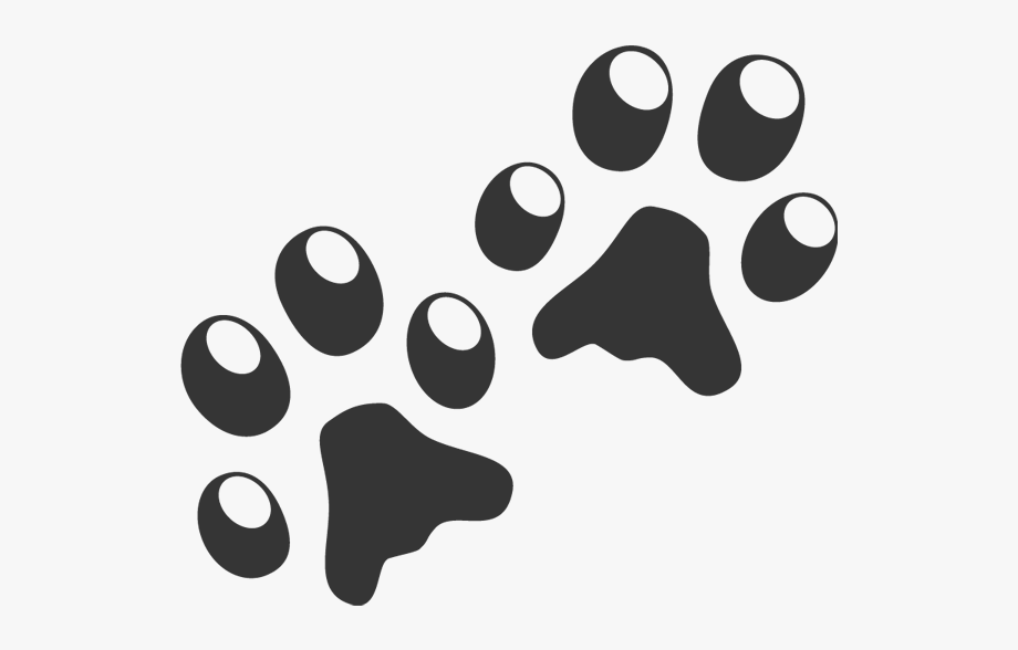 Clip Art Cat Dog Paw Clip - Transparent Background Dog Toy Clipart 