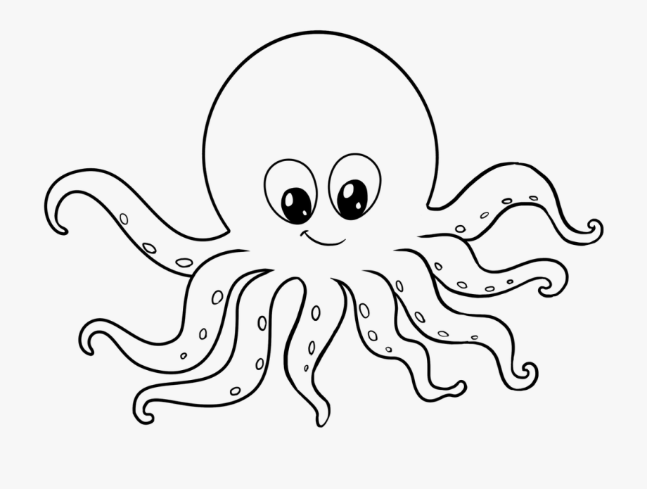 octopus-clipartmag-sketch-coloring-page