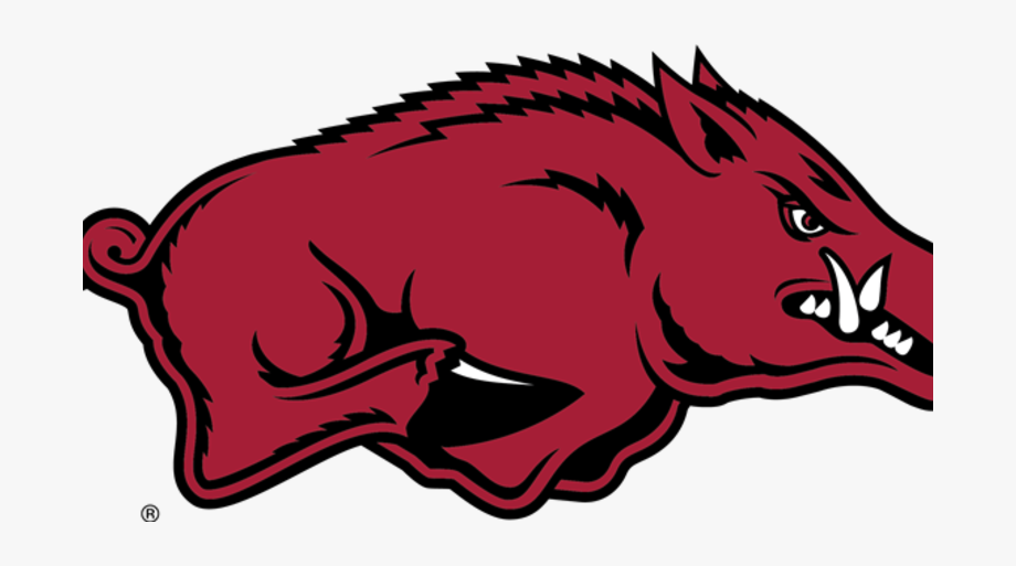 University Of Arkansas Razorback Logo Clip Art Library