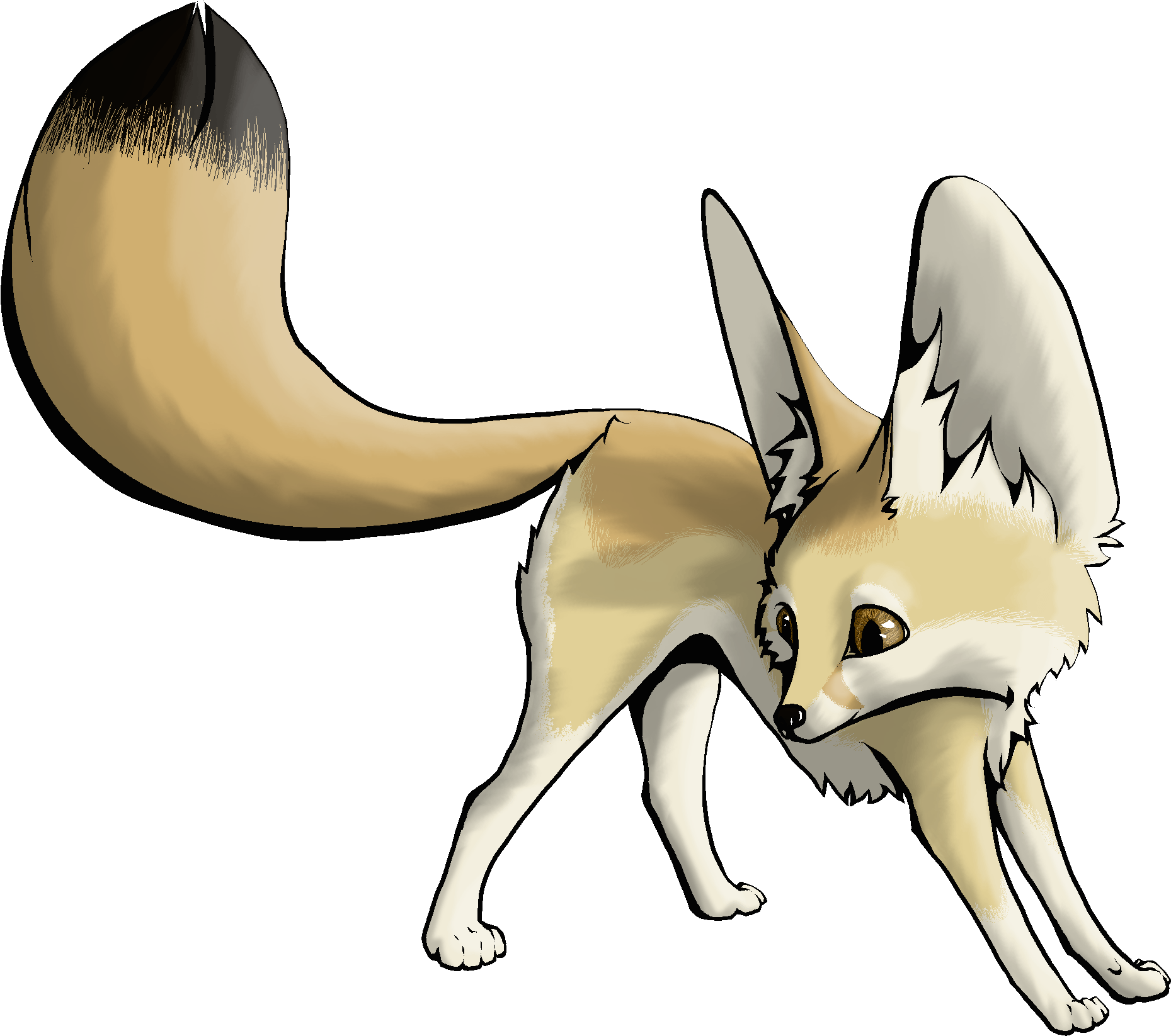 fennec fox drawing easy - Clip Art Library