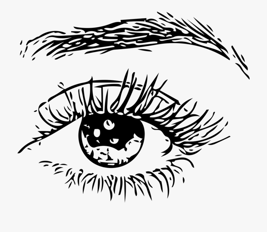 Eye, Eye Ball, Eyebrows, Human, Man, Woman, Eyes - Man Eyes Png 