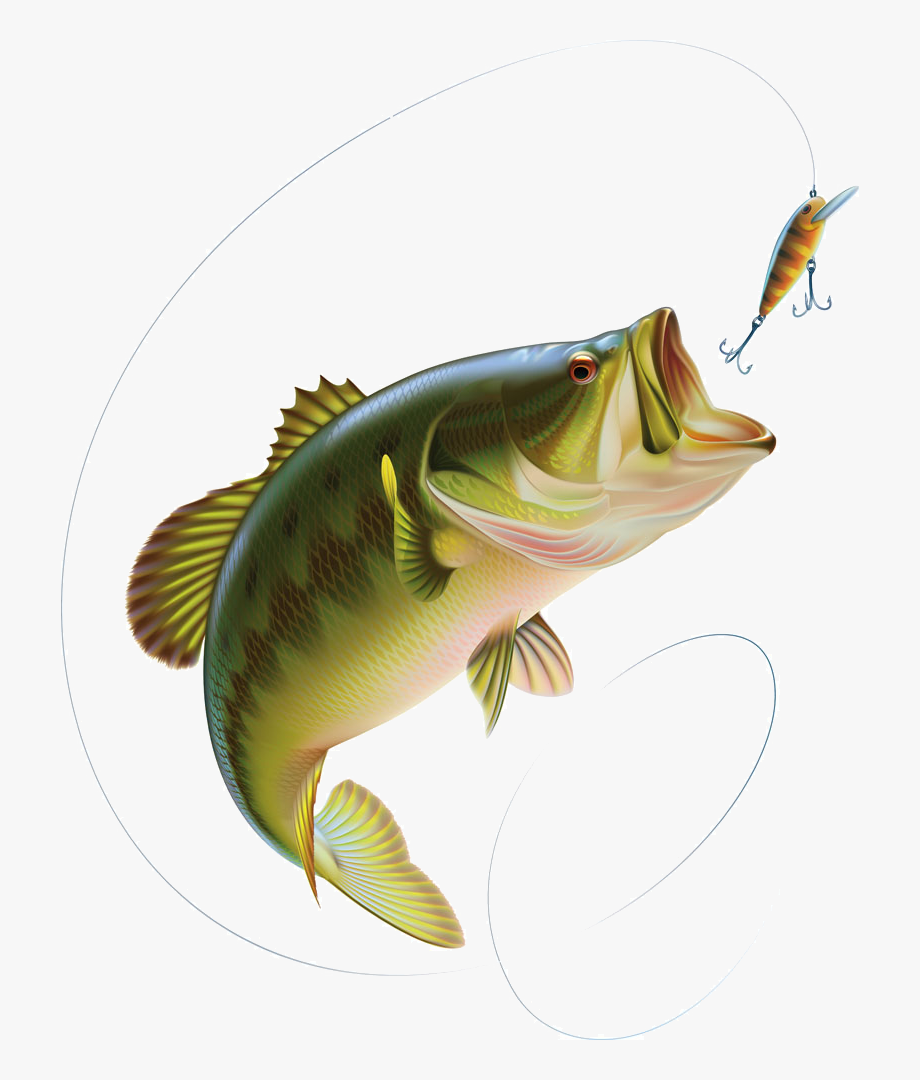 Largemouth Bass Clip Art - Largemouth Bass Fish Jump Out Of Water 