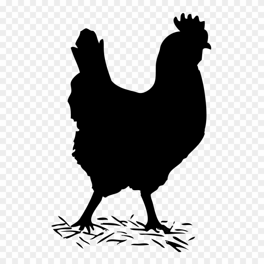 Chicken Clipart Shadow - Chicken Clipart Black And White - Png 