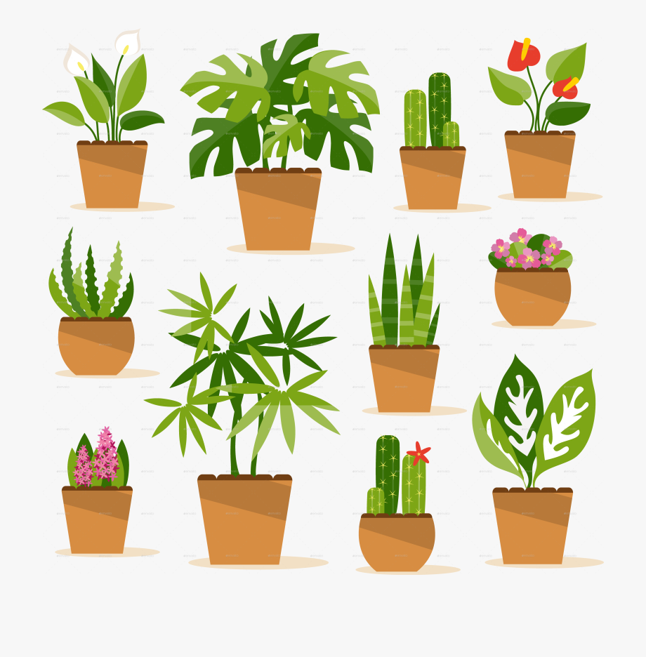 Free Potted Plant Cliparts, Download Free Potted Plant Cliparts png