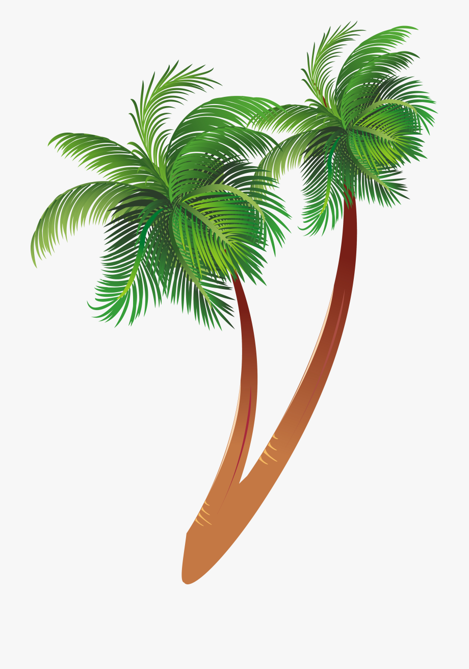Free Download Cartoon Palm Tree Clipart Coconut Palm - Palm Tree 