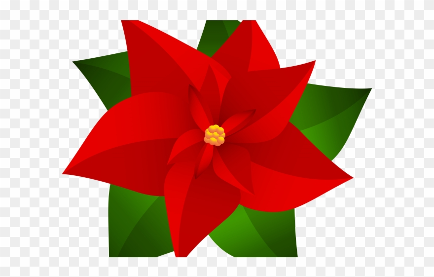 Poinsettia Clipart Top Border - Drawing Christmas Flower 