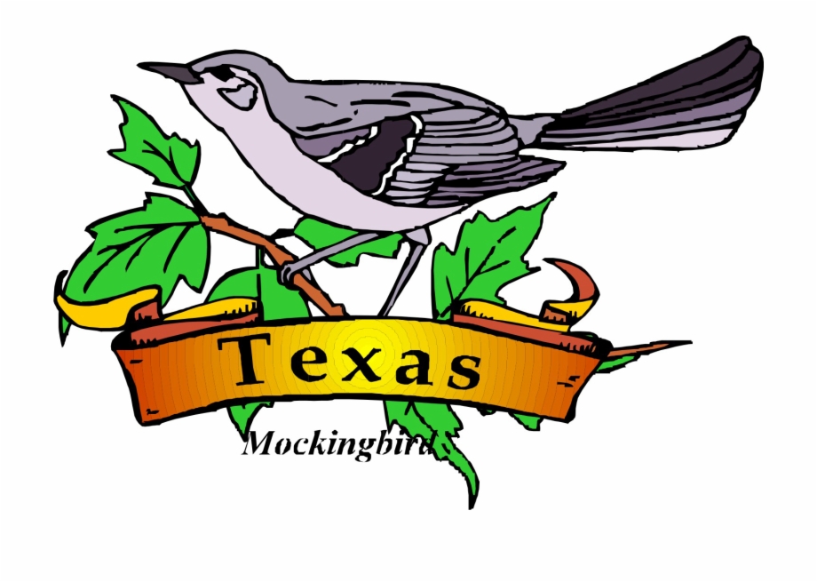Texas Theme Cliparts - Texas State Symbols Clip Art | Transparent 