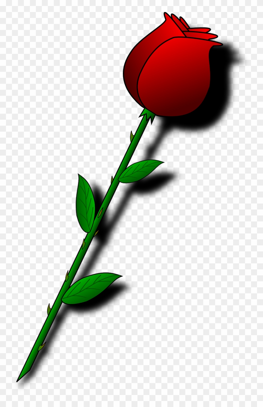 Valentine Flowers Clip Art - Valentines Day Roses Clipart - Png 