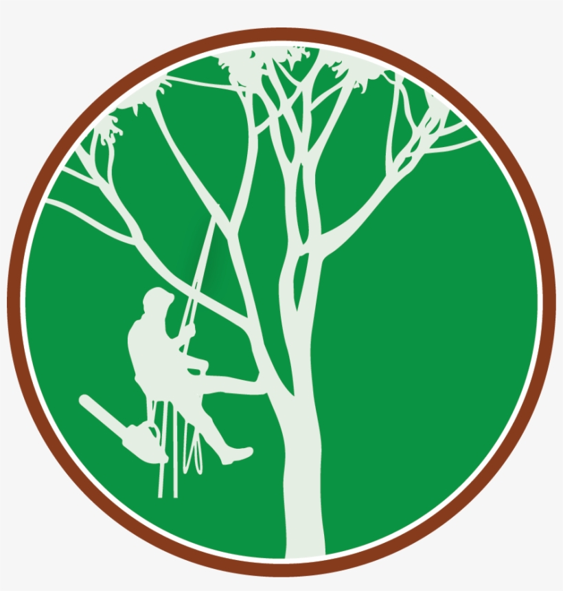 Paul The Tree Climber Icon - Tree Climber Clipart Transparent PNG 