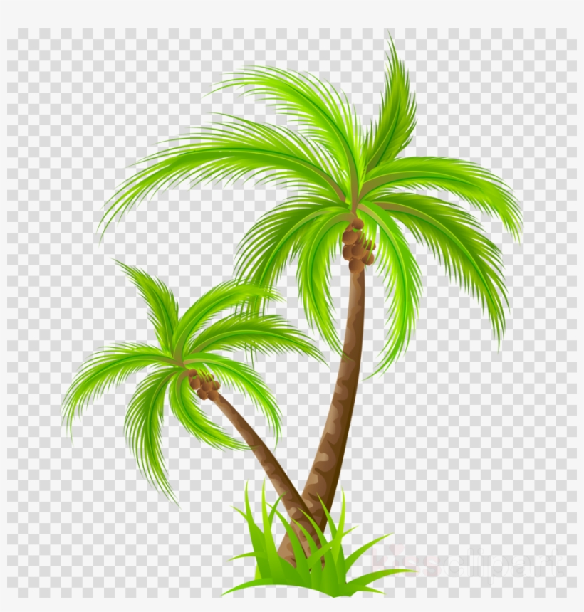 Free Palm Tree Clipart, Download Free Clip Art, Free Clip ...