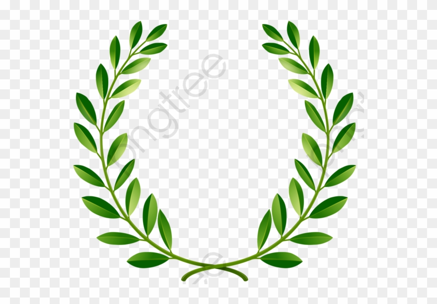 Greenpeace Olive Branch - Green Laurel Wreath Png Clipart 
