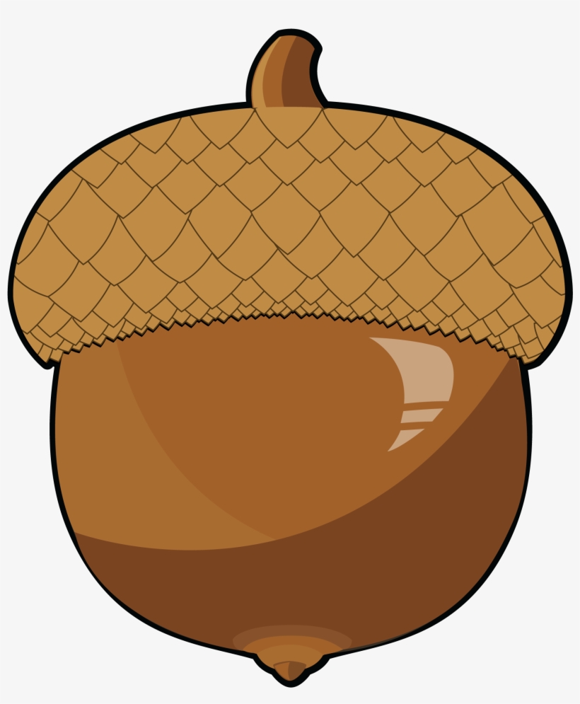 Free Acorn Cliparts Download Free Acorn Cliparts Png Images Free 