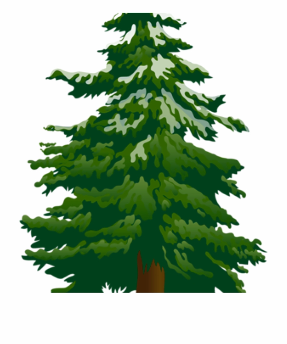 Pine Tree Clip Art Tree Clip Art Snowy Pine Tree Clipart - Grumpy 