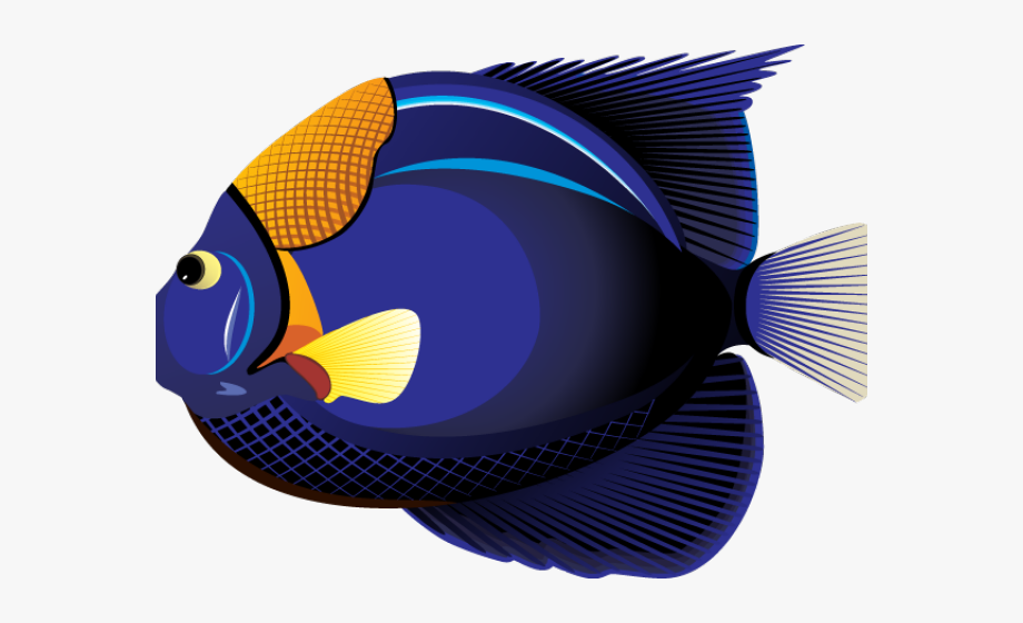tropical fish cartoon transparent - Clip Art Library