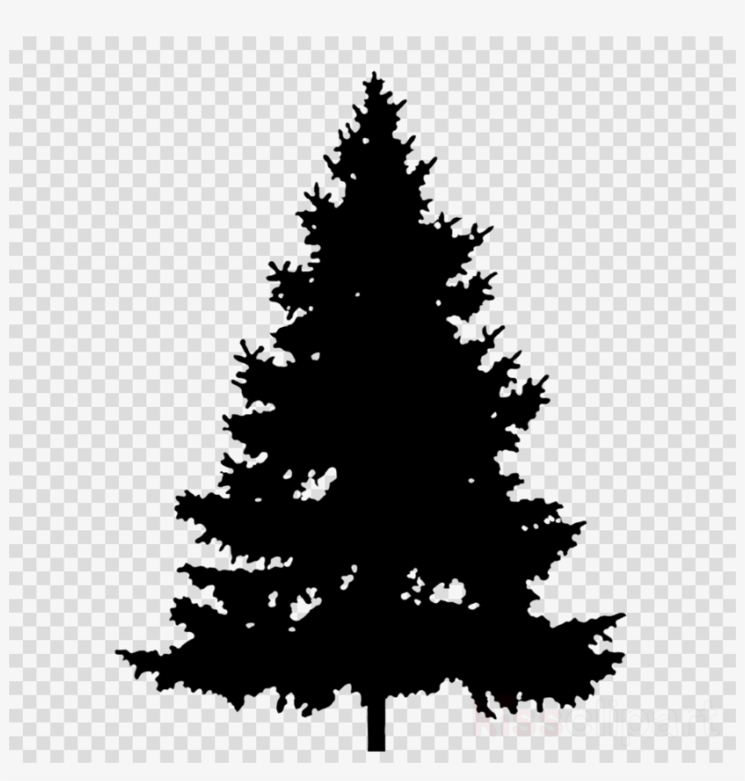 Pine Tree Clipart Pine Clip Art - Green Pine Tree Silhouette 