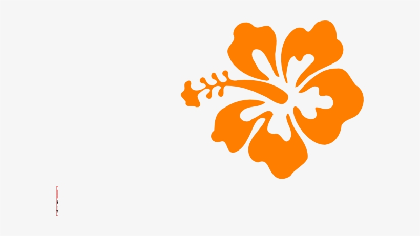 Orange Hibiscus Clip Art - Hibiscus Clip Art - Free Transparent 