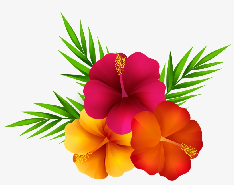 Exotic Flowers Png Clip Art Imageu200b Gallery Yopriceville 