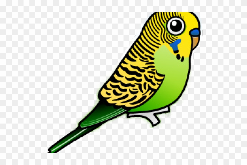 Budgie Cliparts - Blue Cartoon Budgie, HD Png Download 