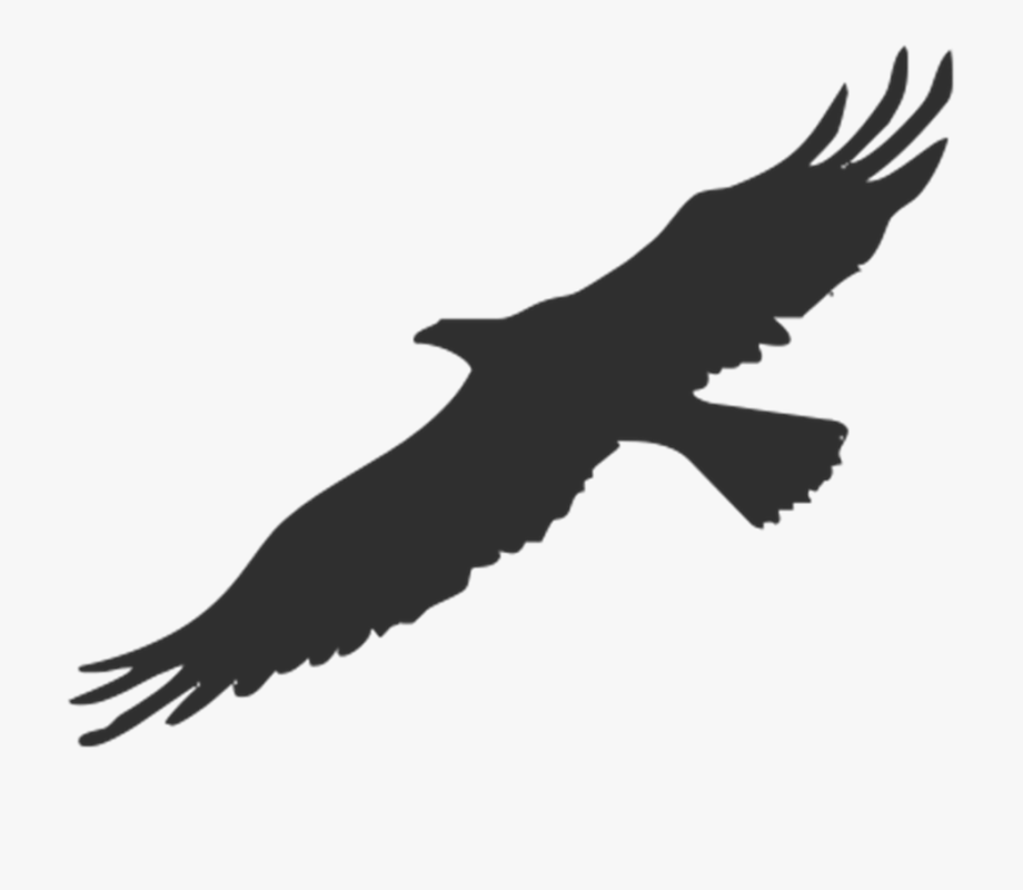 Featured image of post Cartoon Eagle Silhouette - 15 transparent eagle silhouette professional designs for business and education.