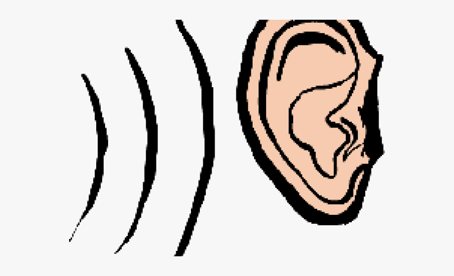 Noise Clipart In Ear - Sound Traveling To Ear , Transparent