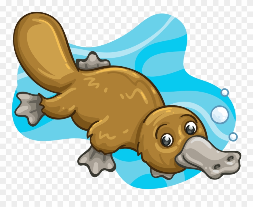Mammal Clipart Platypus - Platypus - Png Download 