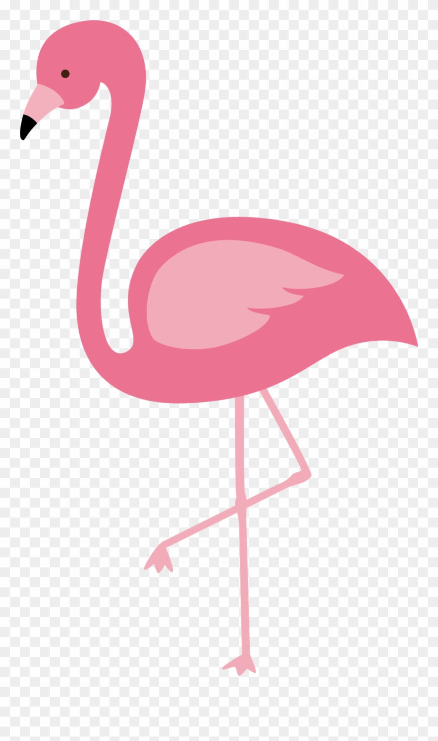 Flamingo Clipart Pink Flamingo - Vector Flamingo Png Transparent 