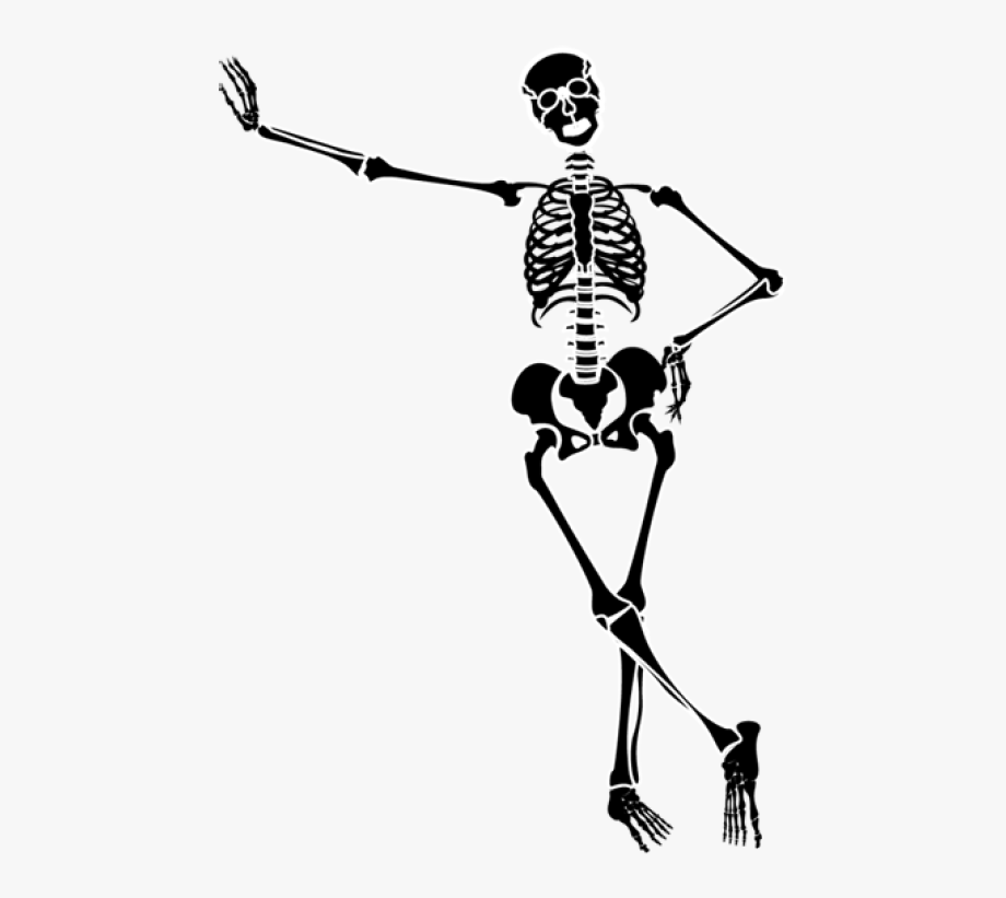 Skeleton Clipart Free Download Clip Art On - Skeleton Clipart No 