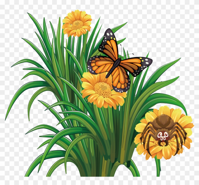 Monarch Butterfly Flower - Summer Flower Flowers With Butterflies 