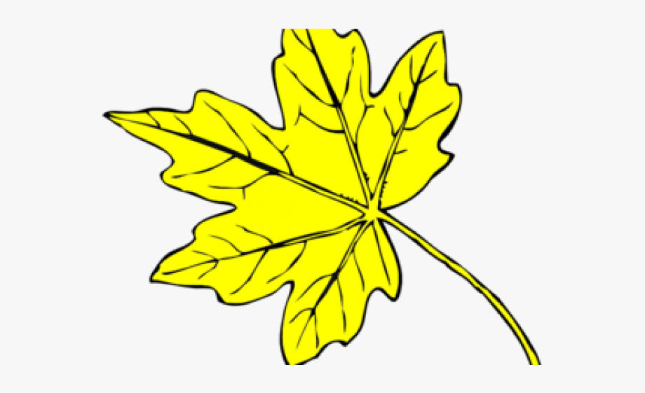 maple-leaf-drawing-small-clip-art-library