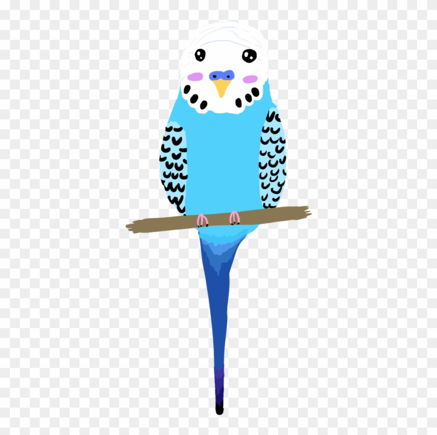 Interesting Use Of Colour And Shape For Budgie - Parakeet Clipart 