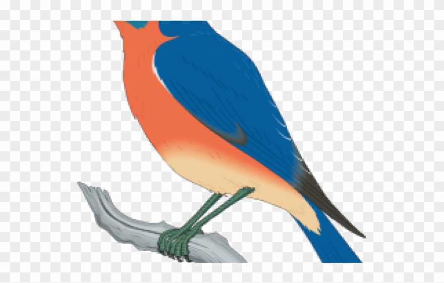 Free Bluebird Clipart - Blue Bird Clip Art - Png Download 