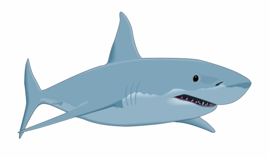 Shark Clipart Shark Fish Clipart Png Free Download - Cartoon Great 