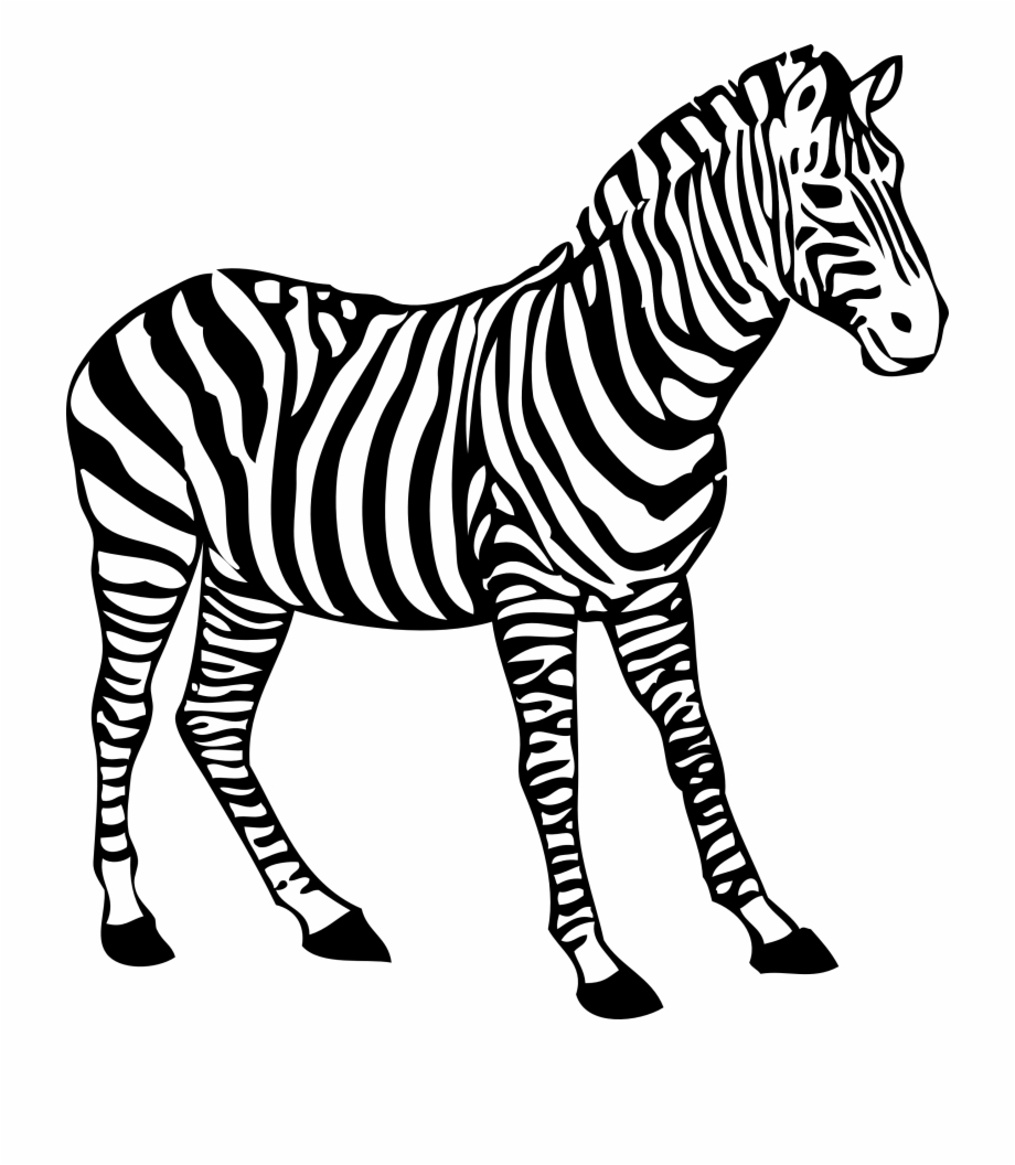 Zebra Clipart Black And White - Coloring Images Of Zebra 