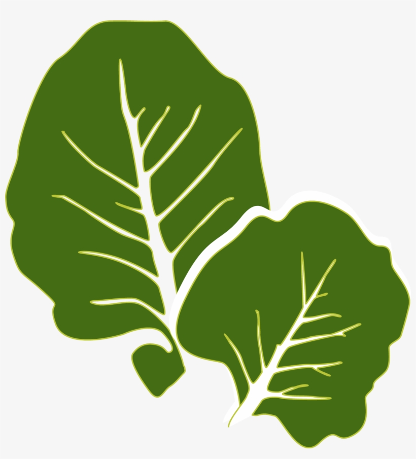 Collard Greens Leaf Vegetable Clip Art - Collards Clipart - Free 
