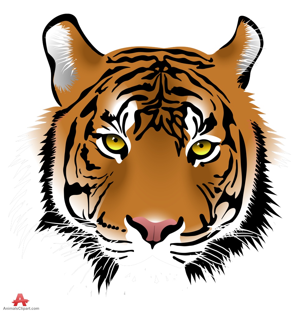 Animals clipart of tiger with the keywords 2 